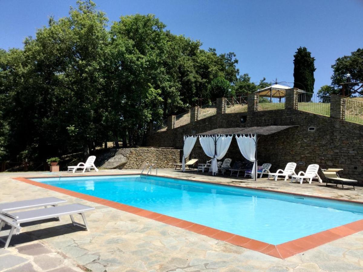 Agriturismo Badia Ficarolo Palazzo del Pero Exterior foto