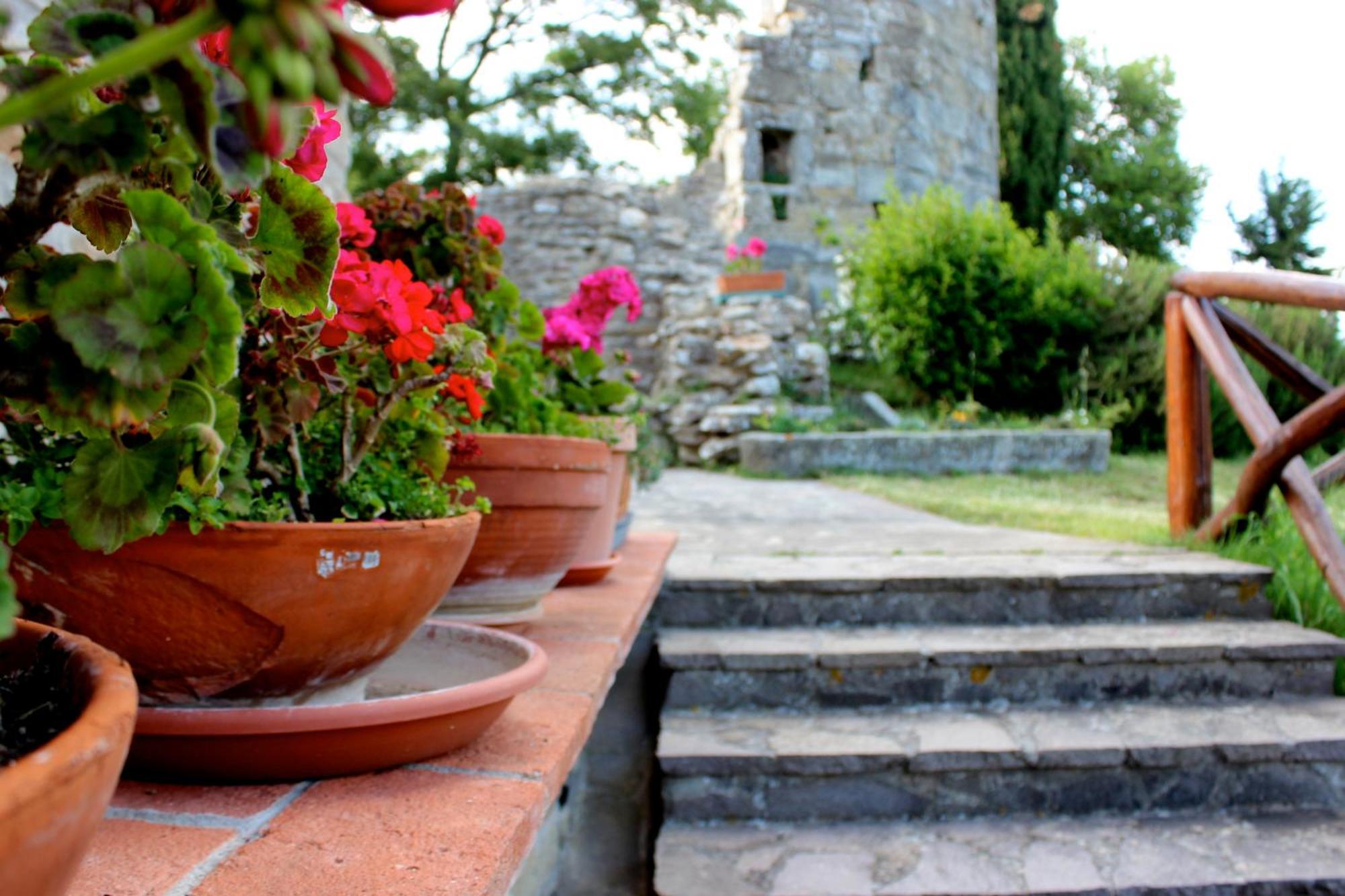Agriturismo Badia Ficarolo Palazzo del Pero Exterior foto